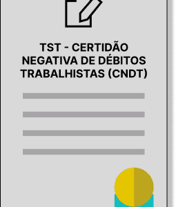 TST - Certidão Negativa de Débitos Trabalhistas (CNDT)